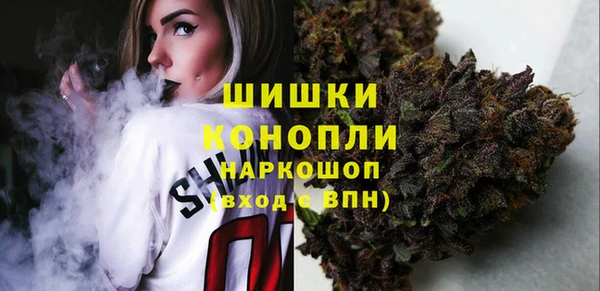 шишки Белокуриха