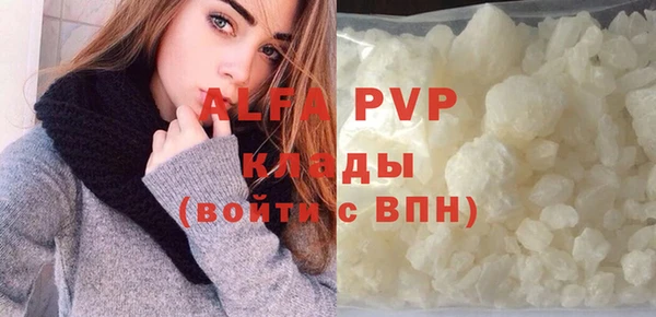 шишки Белокуриха