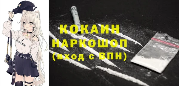 шишки Белокуриха